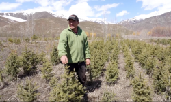 "Кумтөр" ишканасы Ысык-Көл облусунун токойчуларына жардам берүүдө