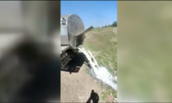 Сокулукта 9 тоннага жакын сүттү дарыяга төгүү фактысы райондук ички иштер бөлүмү тарабынан текшерүүгө алынды 