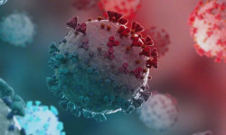 COVID-19: Жаңы учур жана каза болгондор катталган жок