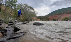 Алай районунда селдин кесепеттери толугу менен жоюлду