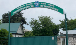 "Бишкек жашыл чарба" ишканасына айып салынды