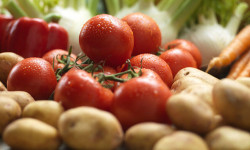 Органикалык айыл чарба. Өлкөнүн бул багытта келечеги кандай?