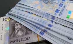 Чакан жана орто бизнеске насыя. Каржы министрлиги 11 банкка 350 миллион сомдой каражат бөлүп берди