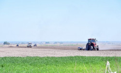 Жеңилдетилген насыянын пайдасы