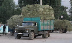 Ак-Шыйрак айылына 1 200 түк чөп жөнөтүлдү