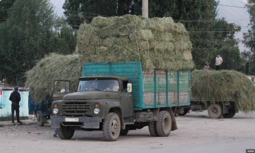 Ак-Шыйрак айылына 1 200 түк чөп жөнөтүлдү