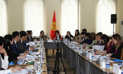 “Кыргыз жараны” концепциясын коомчулукка жайылтуу максатында окутуулар өткөрүлүүдө