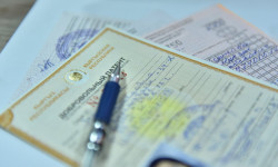 Патенттин баасы ишкерлер менен чогуу макулдашылат