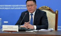 Курманкул Зулушев өз милдетин аткарууга киришти