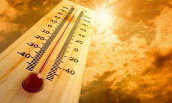 Өлкө аймагында  абанын табы 40 градуска чейин жетет