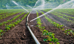 Бул жылы сугат суу көйгөйү жаралбайт