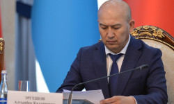Алтынбек Эргешов Президенттин Нарын облусундагы ыйгарым укуктуу өкүлү болуп дайындалды