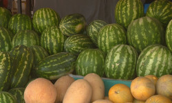 Жол боюнда жашылча-жемиштердин сатуу мезгили күч алды