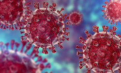 Коронавирустан коргонуу үчүн эмдөөдөн өтүңүз