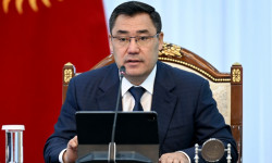 Президент: жыйынтык бербеген кадр менен дароо коштошкула