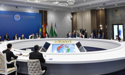 Борбор Азиянын лидерлеринин чечимине серепчилердин пикири