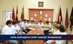 Кара-Балтадагы спирт заводу жаңыланат