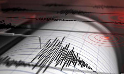 Нарында күчү 3,5 баллга жеткен жер титирөө катталды