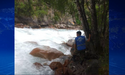 Чычкан суусунан өспүрүмдүн сөөгү табылды