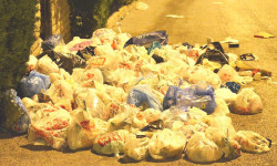 Таштанды жыйба, кошунаңды сыйла