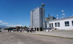 Балыкчыда ун чыгарган завод ишке кирди