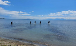 Ысык-Көлдө сууга чөккөн 4 жаштагы кыз табыла элек