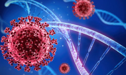 COVID-19. Кыргызстанда бир жумада 895 учур катталды