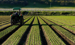 Дыйкандар өндүргөн продукциясын күрөөгө коюп насыя ала алат