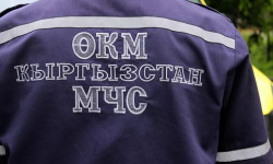 Ысык-Көлгө чөгүп кеткен 4 жаштагы кызды издөө иштери токтотулду