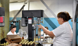 "Кара-Балта спирт заводу" мамлекеттик ишканасы этил спиртин өндүрүүнү баштады