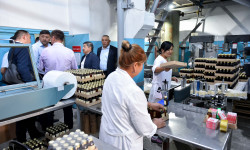 Акылбек Жапаров Кара-Балта спирт заводун модернизациялоону тапшырды