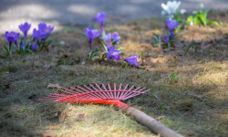 Кыргызстанда жалпы ишембилик өтөт