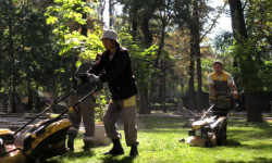 Эгемендик күнүнө карата Бишкекте жашылдандыруу иштери жүргүзүлүүдө