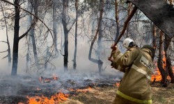 Казакстандын Костанай облусунда өзгөчө кырдаал жарыяланды