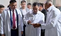 Президент Садыр Жапаров «Жалал-Абад» май иштетүүчү заводдун ишмердүүлүгү менен таанышты