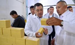 Президент Садыр Жапаровдун Жалал-Абад облусуна болгон иш сапары аяктады