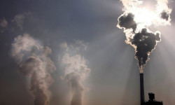 Шопоков тургундары президентке кайрылды