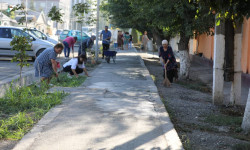 Жалал-Абад шаарында массалык ишембилик өттү