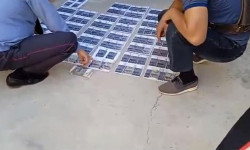 Опузалоо боюнча шектүүлөр кармалды