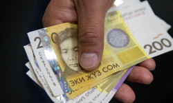 Социалдык колдоолор уланууда