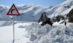 Адистер айдоочуларды алыскы жолдо сак болууга чакырууда