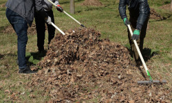 8-октябрда Бишкекте жалпы ишембилик өтөт