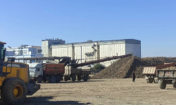 Кант кызылчасын темир жол аркылуу ташууда жеңилдетилген баа сунушталды