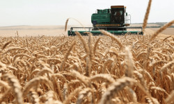 Арзан насыя кантип алса болот?