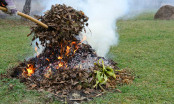 Жалбырак өрттөгөндөргө айып салынат