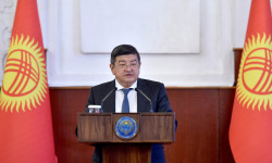 Мамлекет демилгелерди колдоого даяр