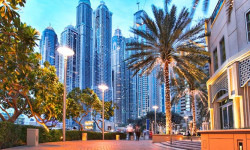 Араб өлкөлөрү кыргыз жарандарын жумушка чакырат