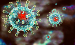 Кыргызстанда коронавируска каршы чаралар өтүп жатат 