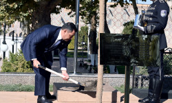 Садыр Жапаров түрк өлкөлөрүнүн лидерлери менен бирге Самарканд шаарындагы “Регистан” аянтына көчөт отургузду