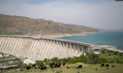 Өзбекстандан 100 гектар жер Кыргызстандын аймагына өтөт